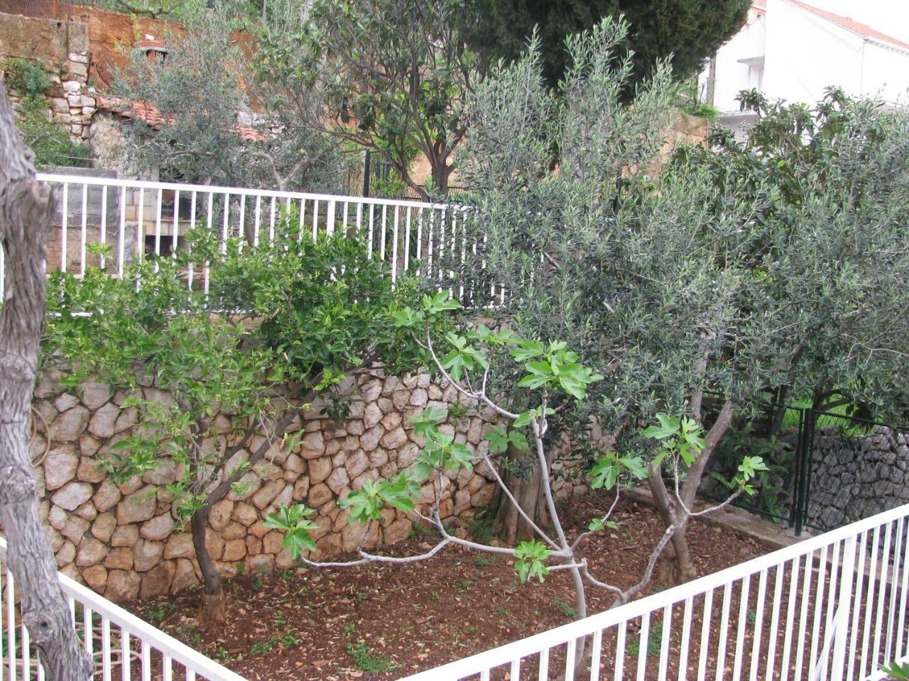 Apartment Kathryne Dubrovnik Dış mekan fotoğraf